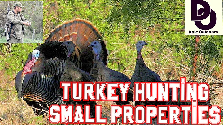 Master the Art of Turkey Hunting on Small Properties