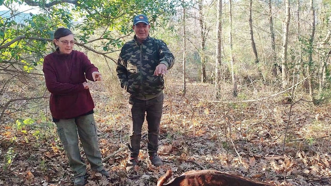 Nos crece la familia caprina, mirar qué chivinos pare la cabra
