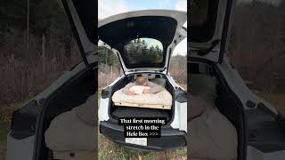 It hits different😚👌 #helebox #carcamping #morningstretch #outdoors #wakeupwithaview