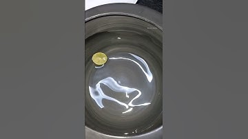 How to clean a new pressure cooker? #pressurecooker #cleaning #kitchentips #newpressurecooker