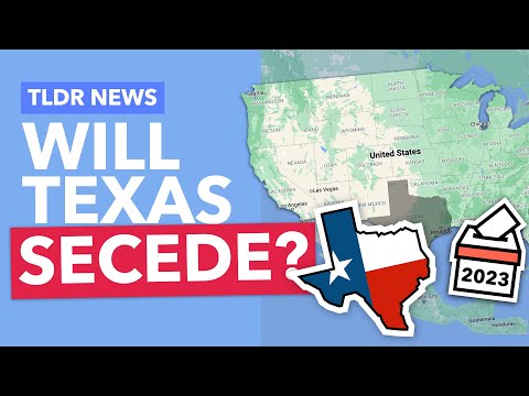 Texas’ Republican Platform Explained - TLDR News