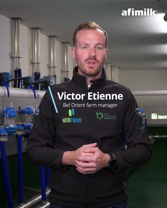 Cow Monitoring with Leg tags, Dairy Farm in France