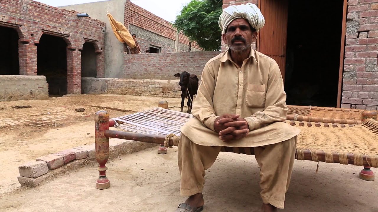 Salam: More than a Greeting for Pakistan's Smallholders