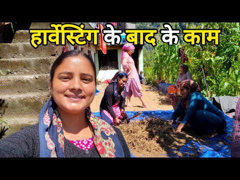 अच्छे मौसम का फायदा उठाते हुए, सब लग गए काम पर😁 Pahadi Lifestyle Vlog | Kedarghati | Kareenavlogs11