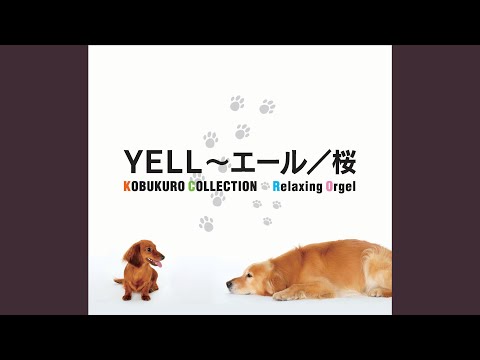 君という名の翼