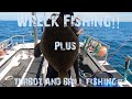 Wreck Fishing For Pollock Plus Brill Fishing!!!