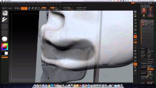 Making a skull from scratch - top half, no teeth