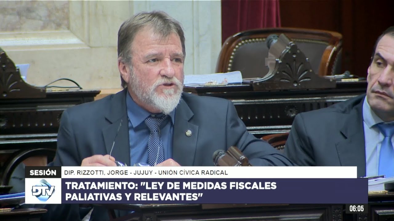 Diputado Rizzotti, Jorge - UCR - Sesión 29-04-2024 - YouTube