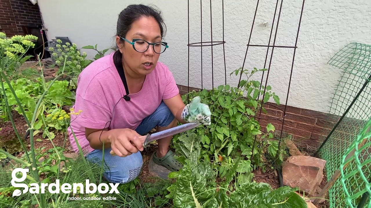 Gardenbox Hori Hori Knife YouTube