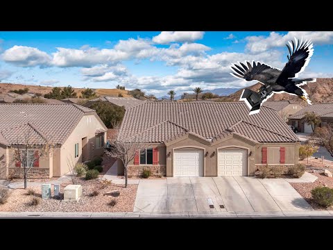 344 Tuscany Cir, Mesquite, NV home video tour