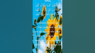 سورة فصلت من الأية 29 الى 29 محمد أيوب