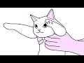 Funny Cats 4 