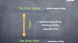 Price Sensitivity