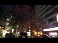 八重桜ライトアップ