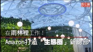 在熱帶雨林上班amazon 生態圈 新辦公室啟用 上報 國際