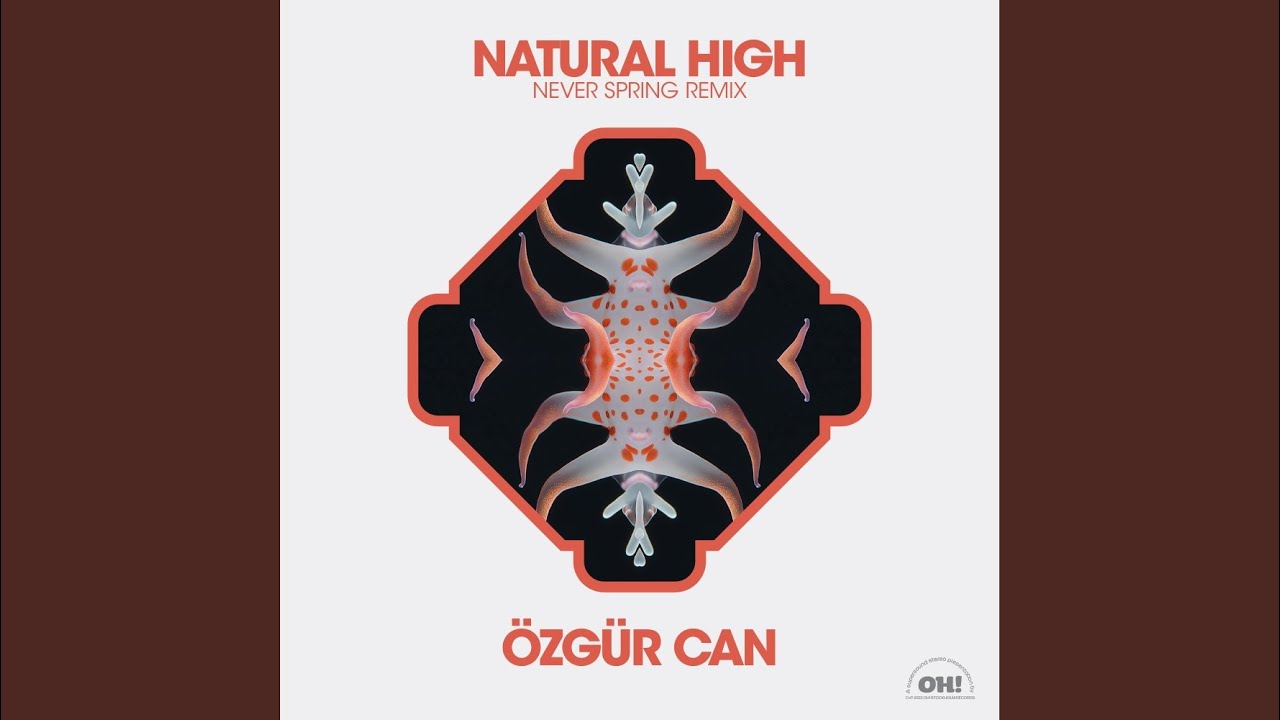 Natural High (Never Spring Remix)