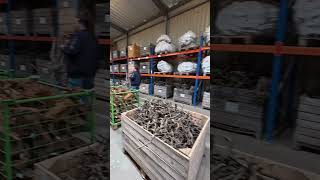 Aquarium Deco Wholesale #shorts