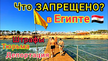 Что нельзя делать на отдыхе в Египте