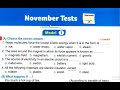 Grade 6 Revision November Solutions To The Contemporary Exams Book Year 6