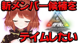 【ARK】⏰13:00頃 - 新しい仲間を勧誘しにいく。【ラトナ・プティ/にじさんじ】