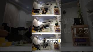 매일 꾸준히하는 습관들이기 #일상 #100일도전 #100개운동 #운동 #33일차 #성공