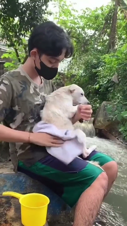 ISLAM KOK PUNYA ANJING?🤬 TONTON SAMPE HABIS DULU!