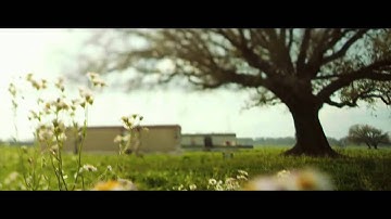 THE HOST(VIDEO) (Imagine Dragons-Radioactive)(HD)