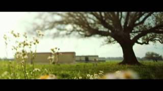 THE HOST(VIDEO) (Imagine Dragons-Radioactive)(HD)