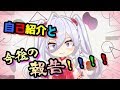 【自己紹介日記】今後のプレイ動画についての報告【HIKA】