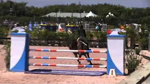 Video of HERLIQUE ridden by GRACE CONROY from Show...