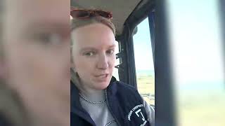Doctoring Cattle with Low Stress | Darting Cattle | Cattle Dart Gun | Pneu-Dart
