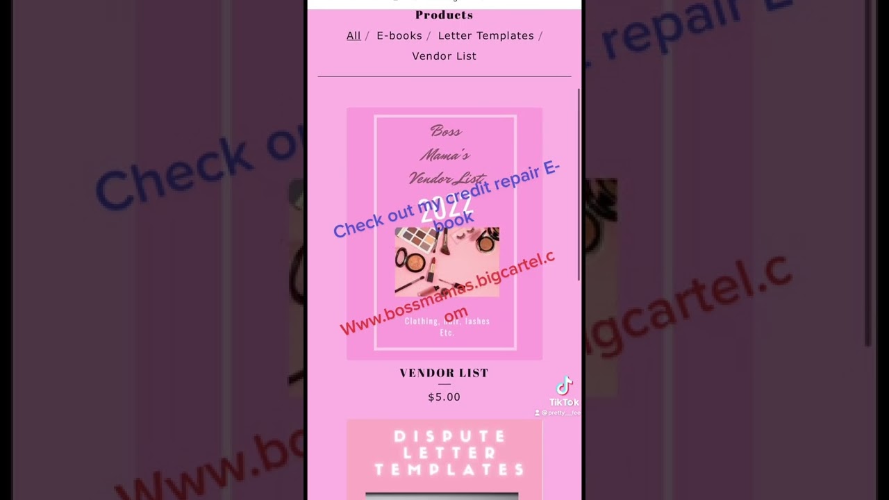 Boss Mama’s credit repair E-book