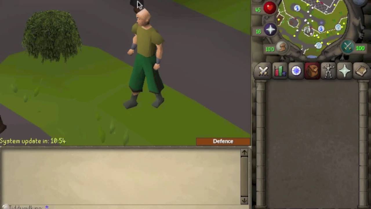 Ultimate Ironman Defence Pure - 69lmst69 pking BANK AT BONEYARD?!?