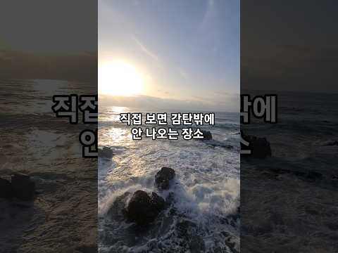 파도소리 들으며 바라본 동해 일출… 말이 필요 없는 대한민국 최고의 힐링 순간 공개합니다.