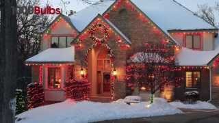 50 Multi-Color Mini Lights - 25 ft. Stringer