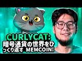 CurlyCat: 暗号通貨の世界をひっくり返す memcoin!