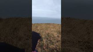 BEACH WITH PG #newpost #femalerapper #sharemarket #wales #beach #summer #music