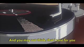 The Bird and The Bee - How Deep is Your Love (Lyrics)
