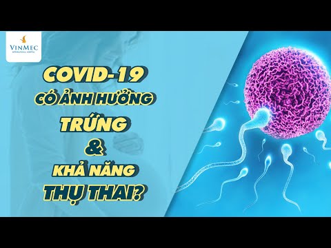 Video COVID-19 có ảnh hưởng 