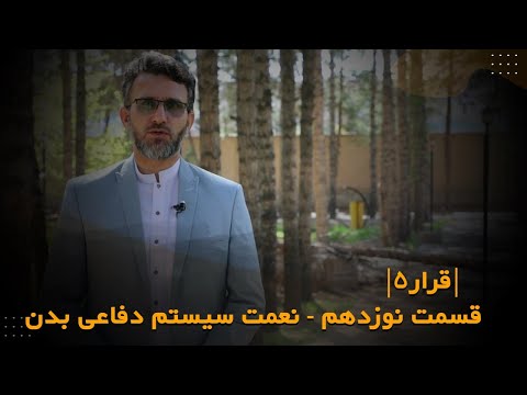 سیستم دفاعی بدن چگونه فعالیت می کند قرار فصل پنجم قسمت 19