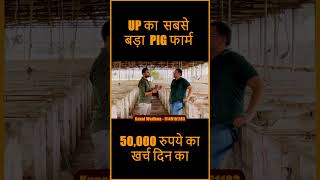 How To Start Pig Farm @BhartiyaKisaan_bk | Pig Farming screenshot 4