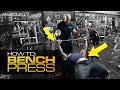 How to Bench Press MAX WEIGHT! How to Bench Press MAX WEIGHT!