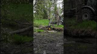 Selviääkö metsävaltra Vantaanjoen risuista? Videota tulossa