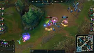 Alistar + Caitlyn trap
