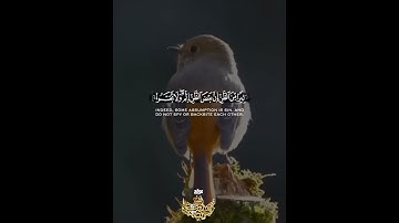 سبحان الله😴❤️ارح سمعك تلاوة هادئة تنسيك هموم الدنيا كلها😴💙حالات واتس اب دينية#القارئ عبد الباسط
