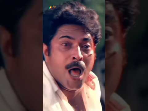 തളപതി#rajnikanth #mammootty #thalapathy