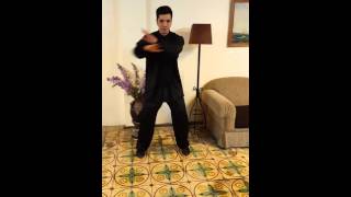 Yuen Chai Wan Wingchun By Diep Phuong