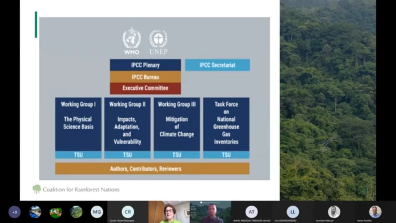 Everything You Need To Know About The Intergovernmental Panel on Climate Change (IPCC)