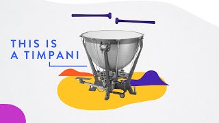 Percussion - introducing the Timpani