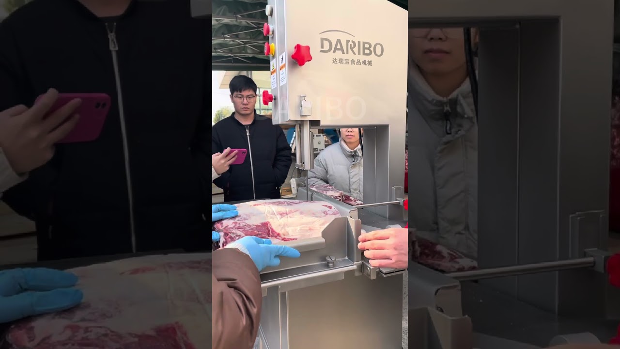 DARIBO European standard meat band saw